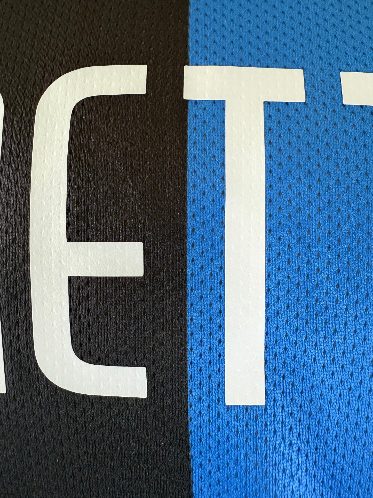 Javier Zanetti 09-10