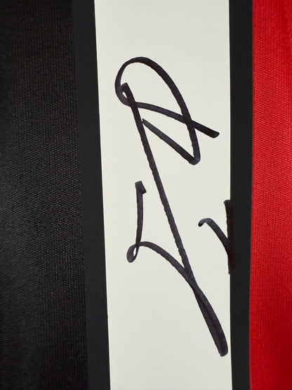 Shevchenko – Milan 2008/09