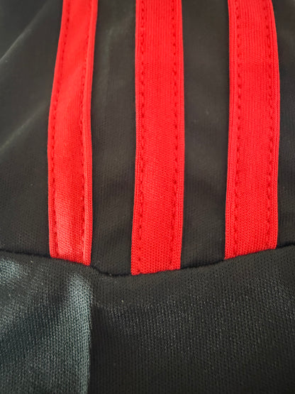 Shevchenko – Milan 2008/09
