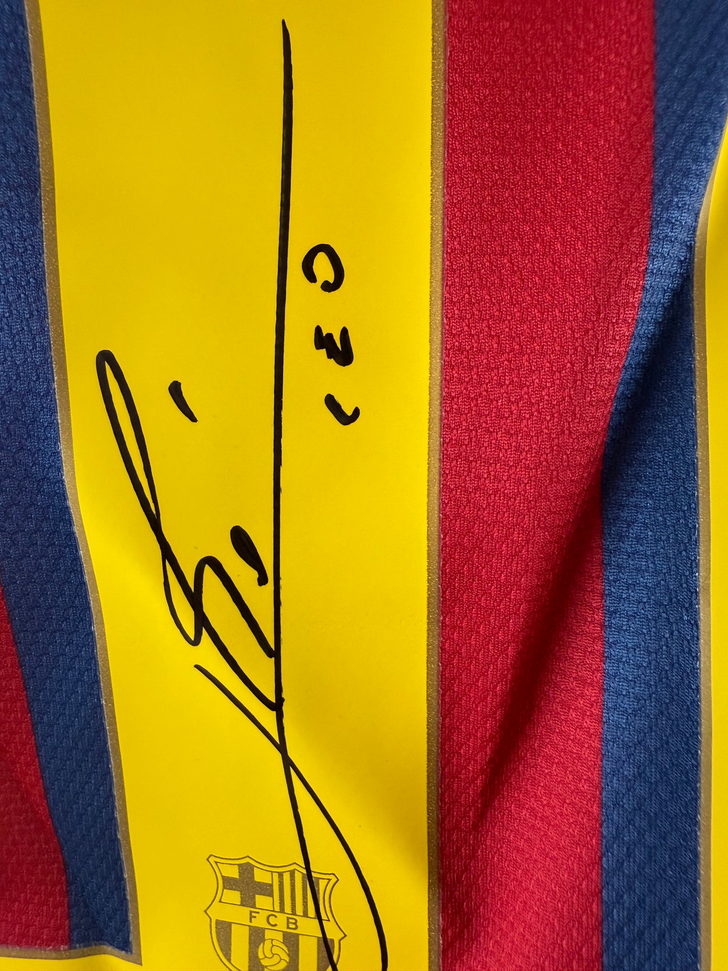 Lionel Messi 13-14