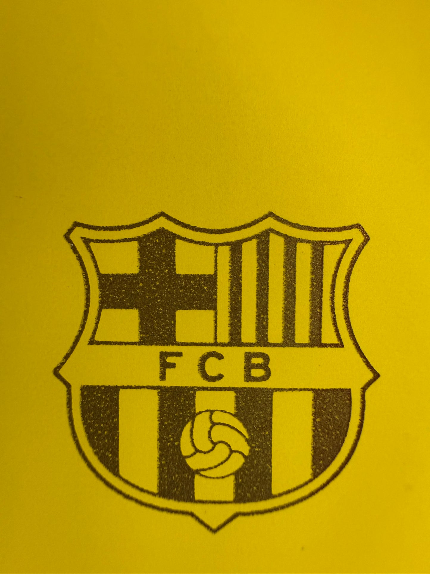 Lionel Messi 13-14