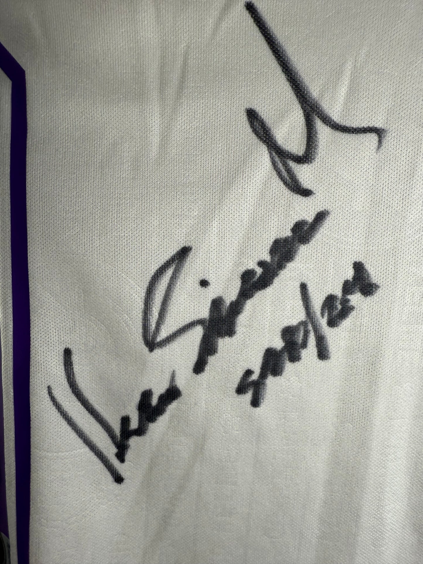 Hugo Sánchez 96-97