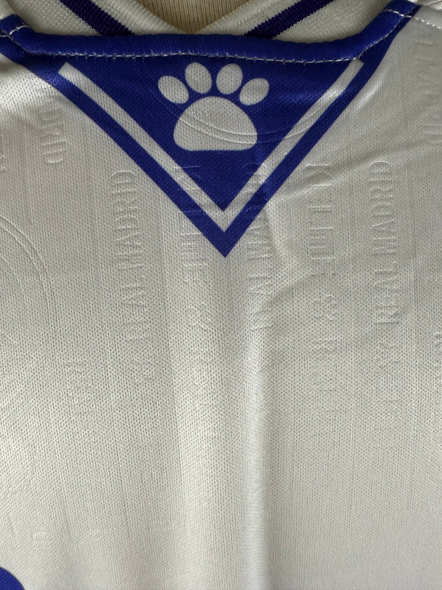 Hugo Sánchez 96-97
