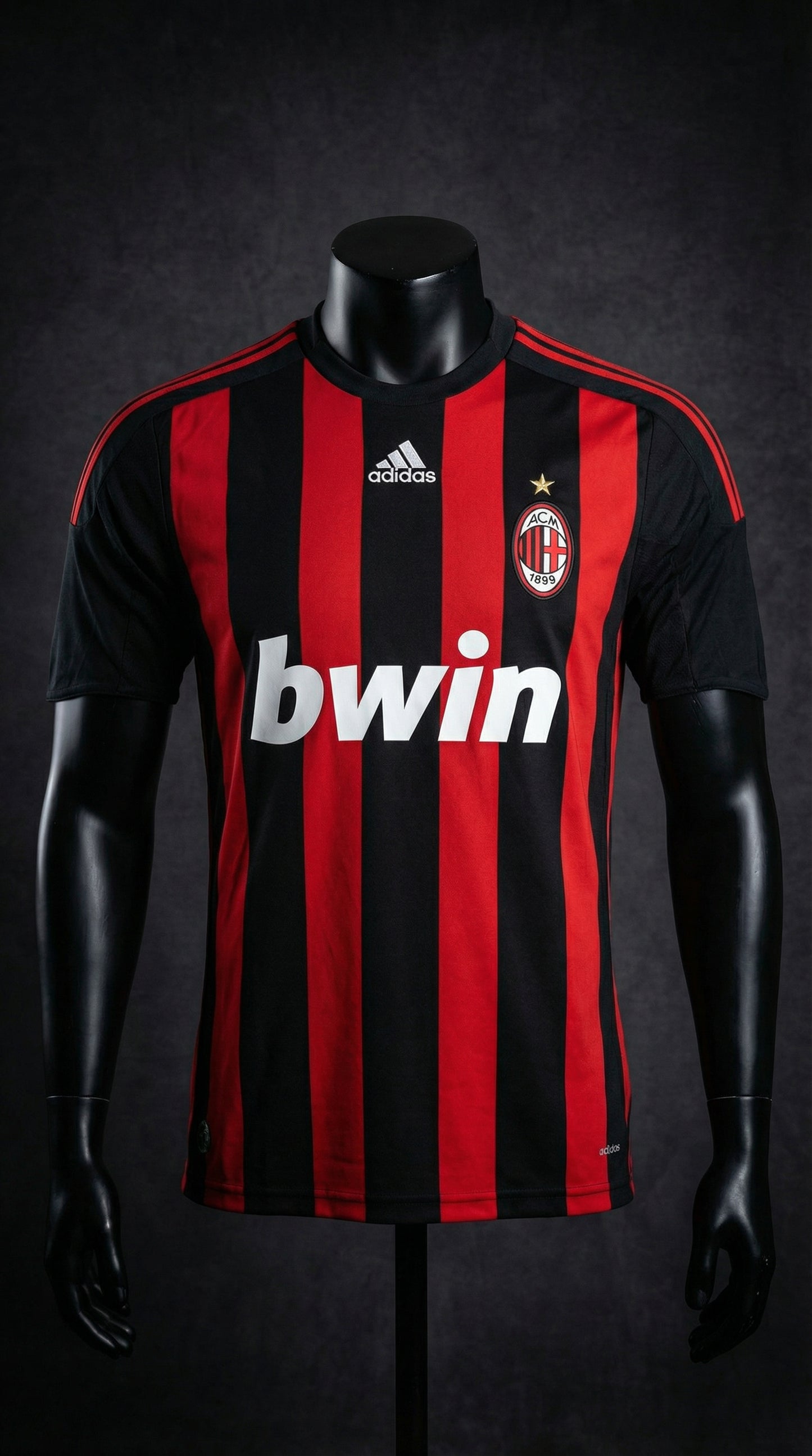 Shevchenko – Milan 2008/09