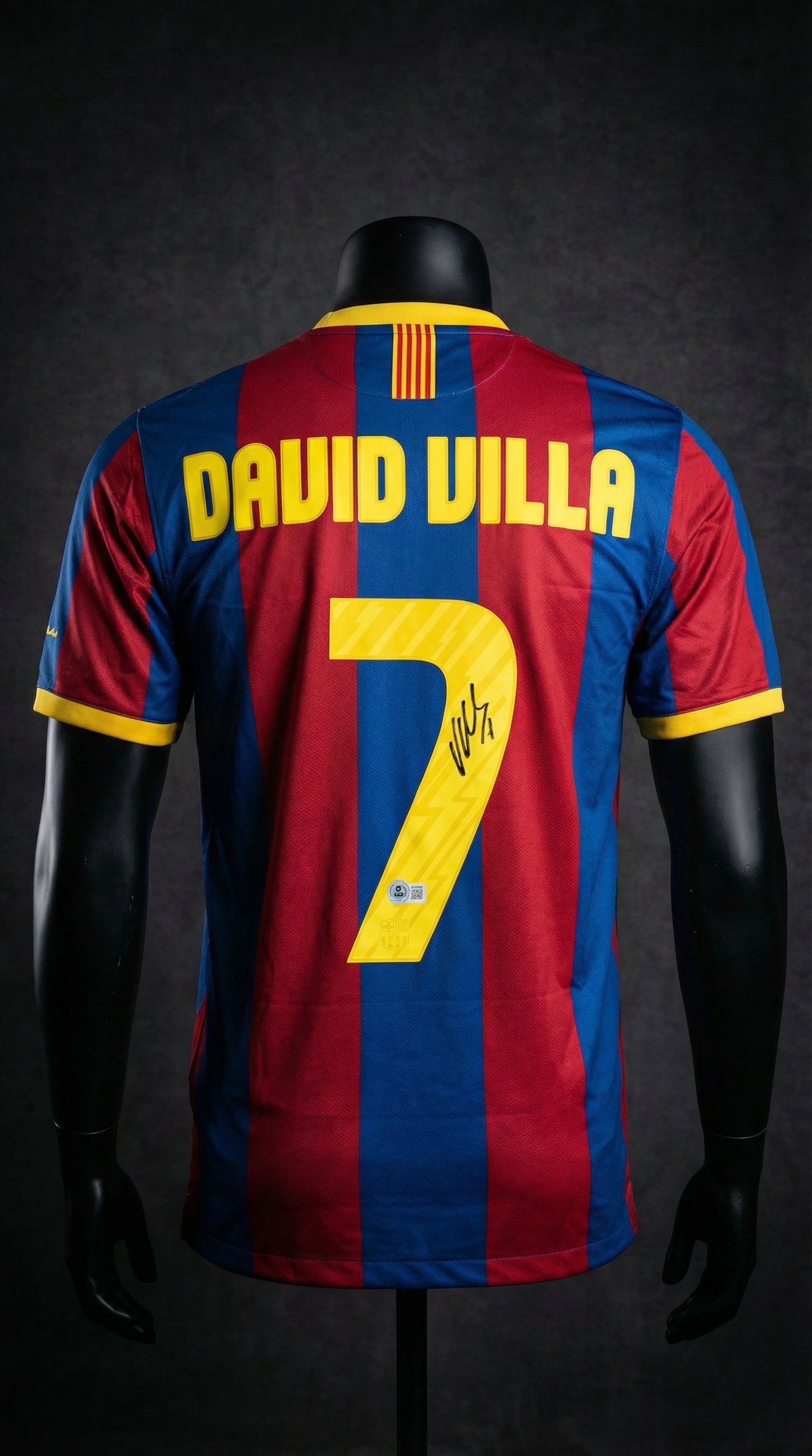 Villa – Barcelona 2013/14