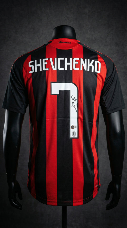 Shevchenko – Milan 2008/09
