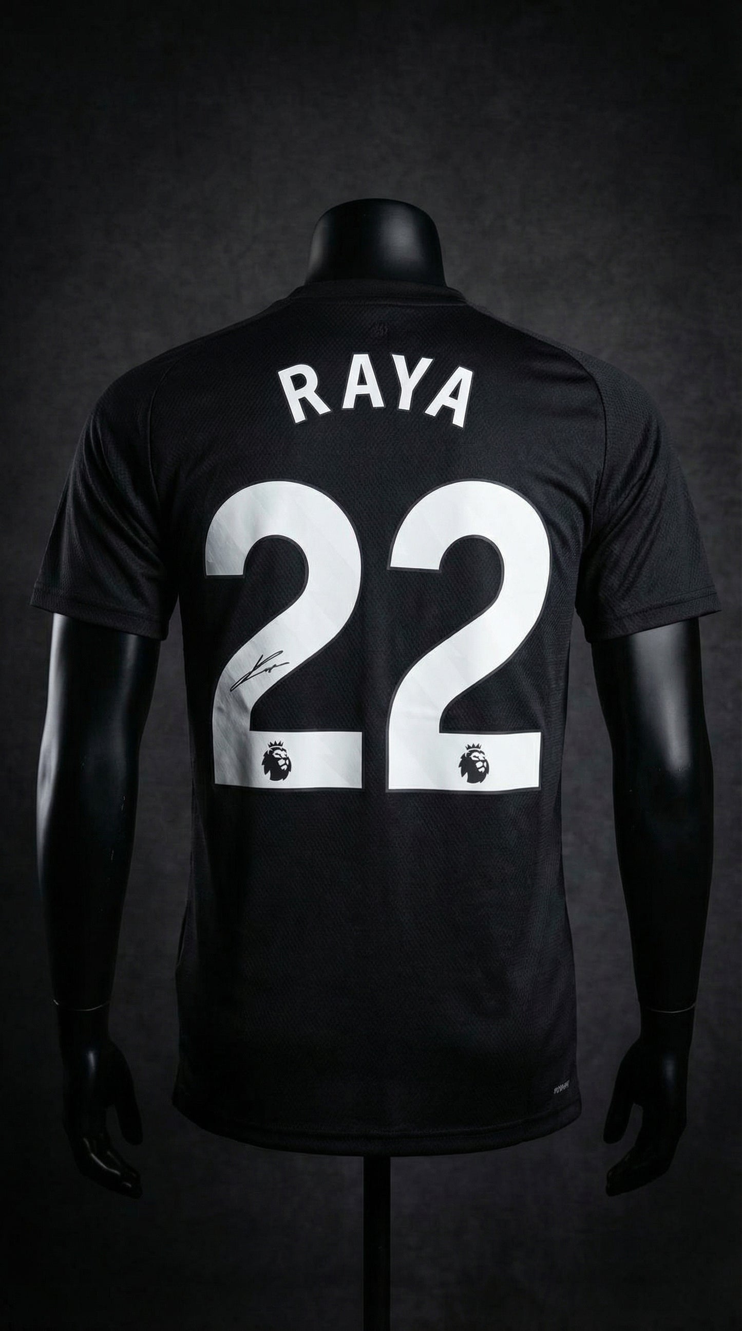 Raya – Arsenal 2024/25